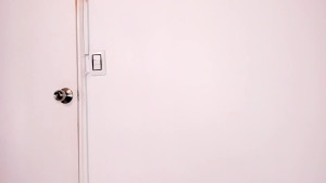 Miss you all so much check your inbox for a little freebie as a thank you for staying as a follower