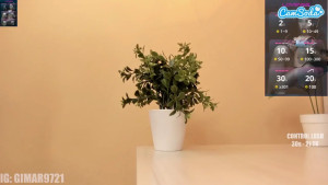 When was the last time you had naughty thoughts about me 2855977