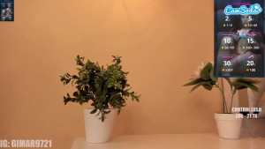 A little pic I took a couple years ago time to re-do it 2929567