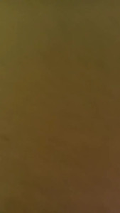 Just paid 5 to enter a Best Butt contest now where the hell did that chat thread go Mama I never dragged us to pageants