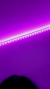 You know what makes my pussy the wettest When I suck a dildo I imagine how much it might have been pleasant for you Do