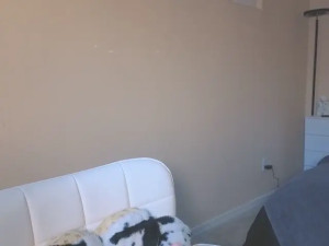 I m the same alt cheerleader who would never even glance in your direction You re reduced to begging for my attention