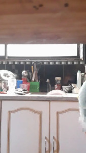 I had some fun on the floor while I had the house all to myself Leave me a little tip and I ll give you a sneak peek of