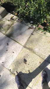 Starting the New Year off SEXY I know it s been a little bit slower lately with content