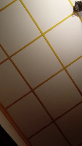 I can t get this fantasy out of my head about sucking dick with Daddy and having a threesome with a bi guy or a trans