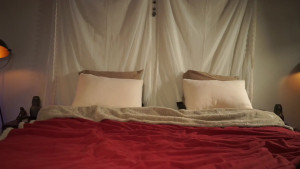 Hello to my new followers I m more than pleased to see you here I currently have some pictures up from my latest outdoor