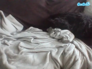 So much fun playing with these boobs demiwolfangels - parallaxxx 2912745