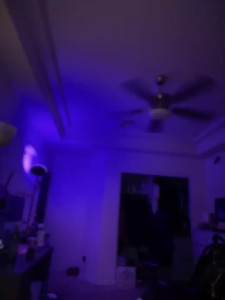 Halloween LIVE STREAM event Saturday October 29th 5pm PT 8pm EST 2835810