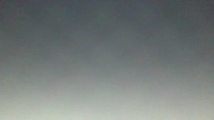 Happy Sunday yall hope we can make it a naughty one Message me for todays specials 2934166