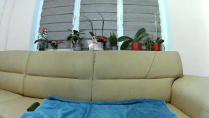 If haven t seen my most recent swallow video