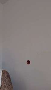 If you could all go follow my free page sarasmokes that would be great There isn t much there at the moment but I will